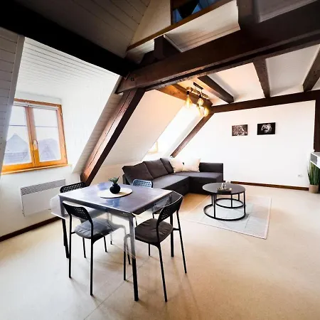 Duplex Centre Ville Soultz-Haut-Rhin Exterior photo
