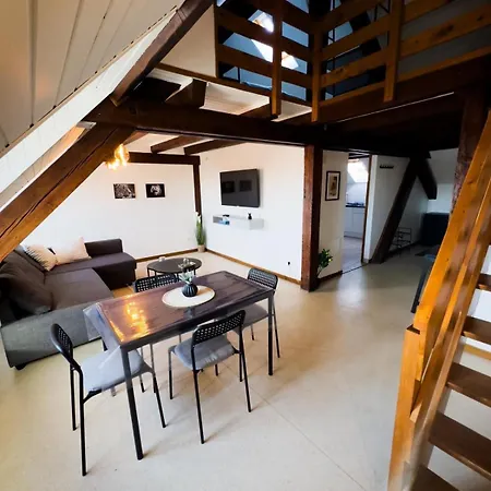 Duplex Centre Ville Soultz-Haut-Rhin Exterior photo