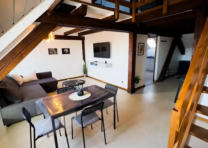 Duplex Centre Ville