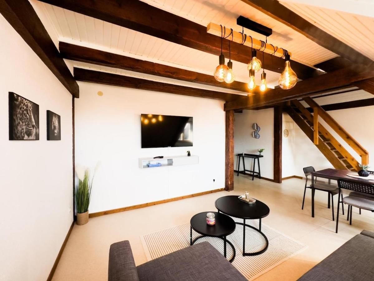 Duplex Centre Soultz-Haut-Rhin